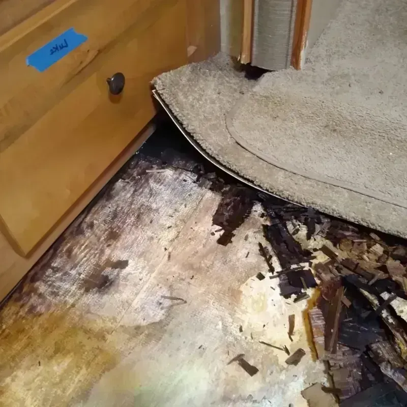 Best Wood Floor Water Damage Service in Oblong, IL